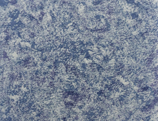 醫院專(zhuān)用2mm抗菌PVC膠地板